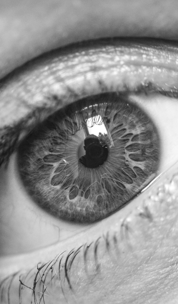 Красивый глаз девушки черно-белое фото