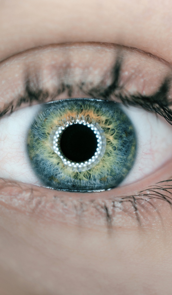 Красивый глаз девушки с длинными ресницами вблизи