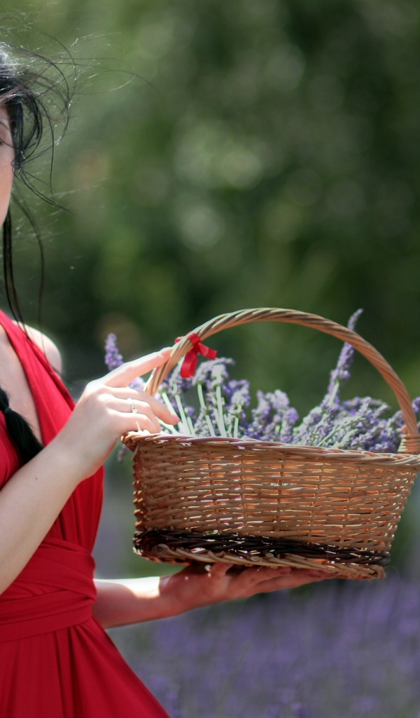 Брюнетка в красном платье с корзиной цветов лаванды