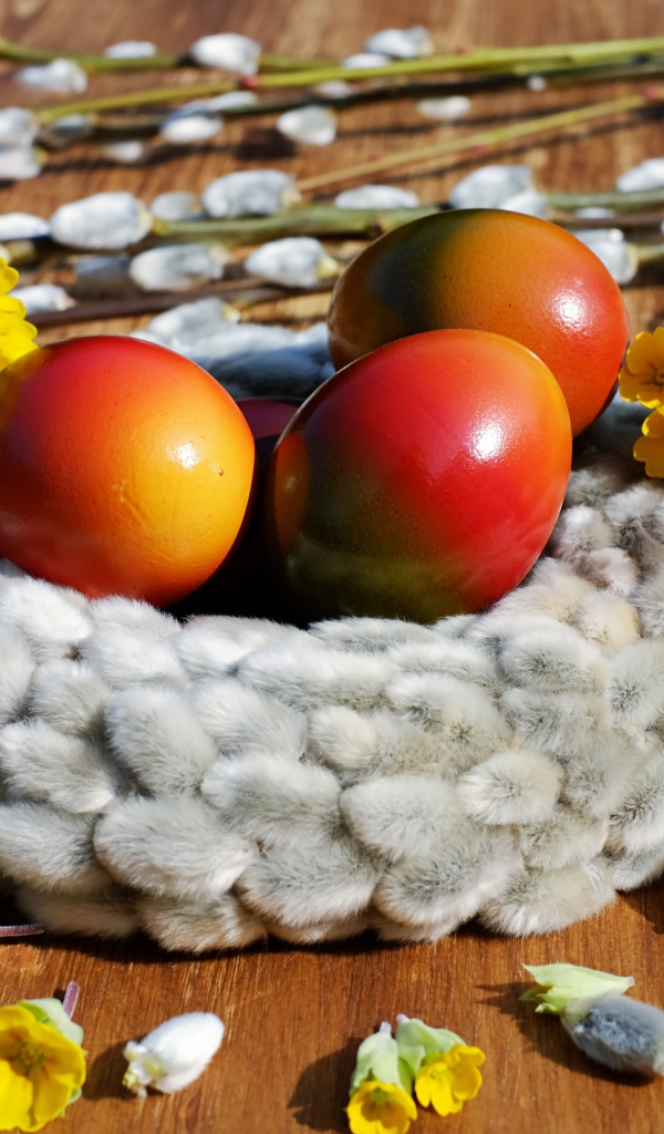 Яркие крашеные яйца с желтыми цветами и вербой на Пасху