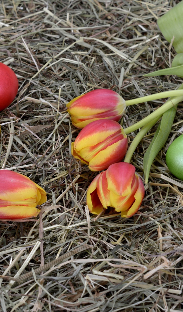 Крашеные яйца с тюльпанами на сене на праздник Пасха 2021
