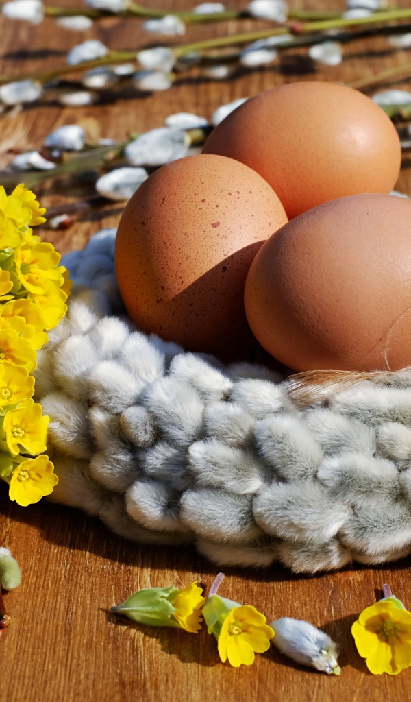 Три яйца с желтыми цветами и вербой