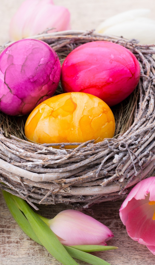 Три разноцветных яйца в гнезде с тюльпанами на праздник Пасха