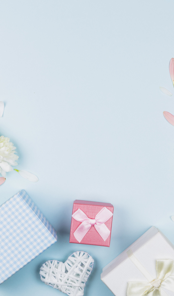 Цветы герберы и подарки на голубом фоне, шаблон поздравительной открытки на 8 марта