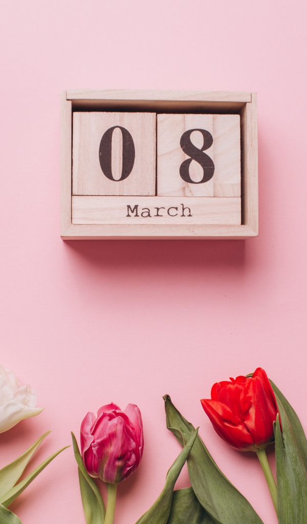 Тюльпаны с кубиками на розовом фоне на 8 марта