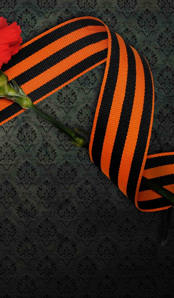 Георгиевская ленточка и красная гвоздика на 9 мая день Победы