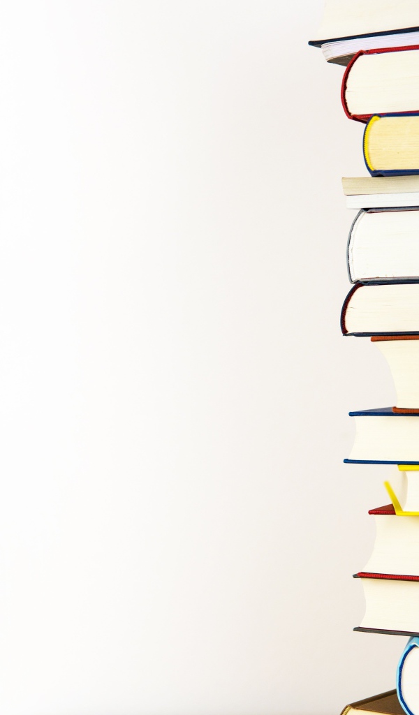 Много разных книг  для школы на белом фоне