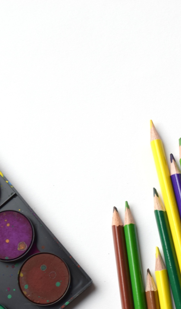 Разноцветные карандаши и краски на белом фоне
