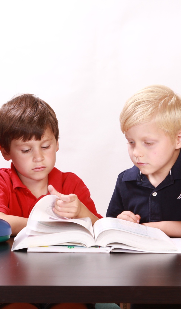 Два мальчика школьника с книгами и глобусом за столом