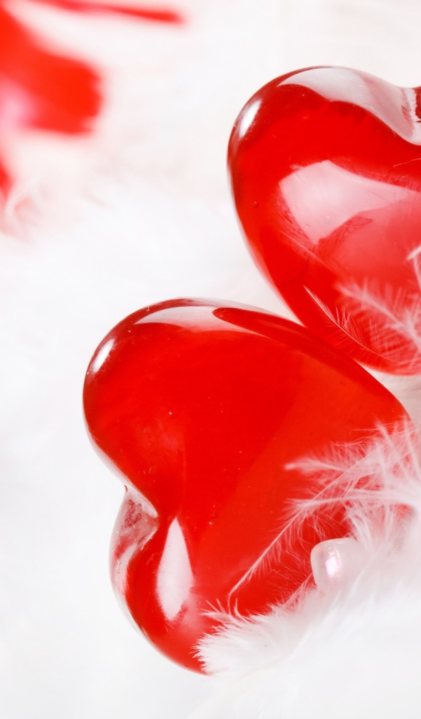 Два красных сердца с белым перьями