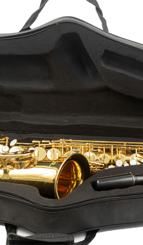 Саксофон в черном чехле на белом фоне