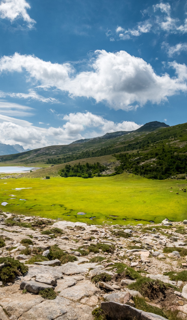 Красивое небо над зеленым лугом в горах 