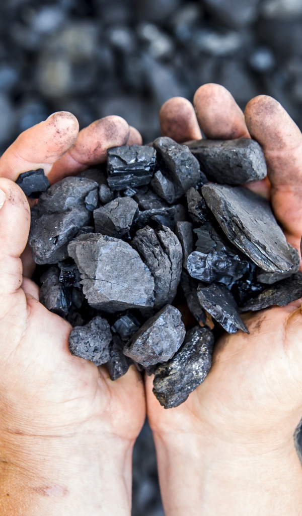 Каменный уголь в  руках у мужчины