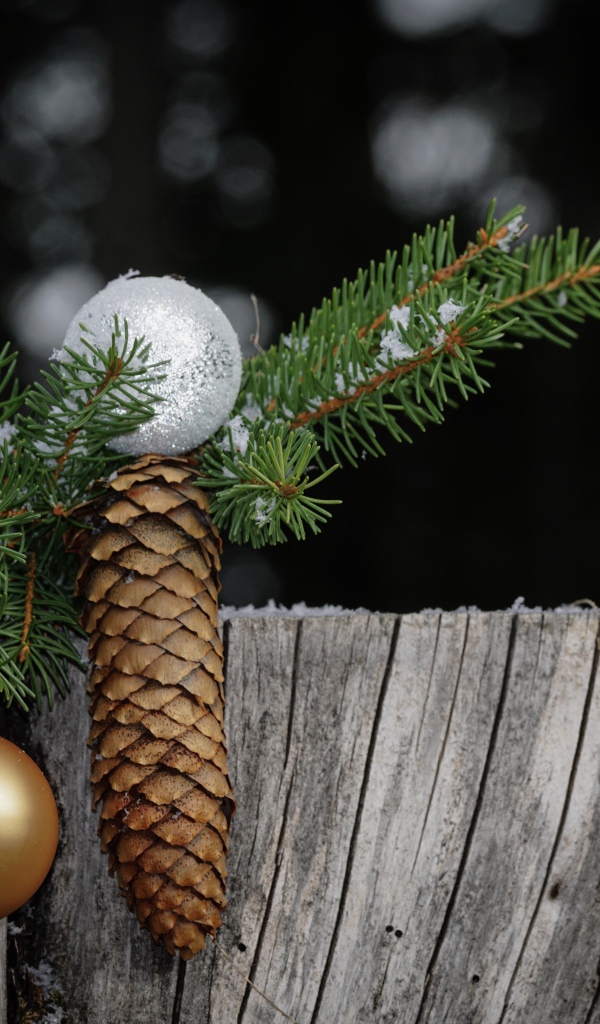 Зеленая ветка ели с шишкой и шариком на пне 