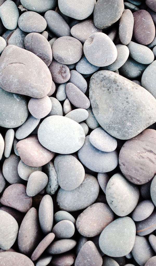 Много серых камней разной формы