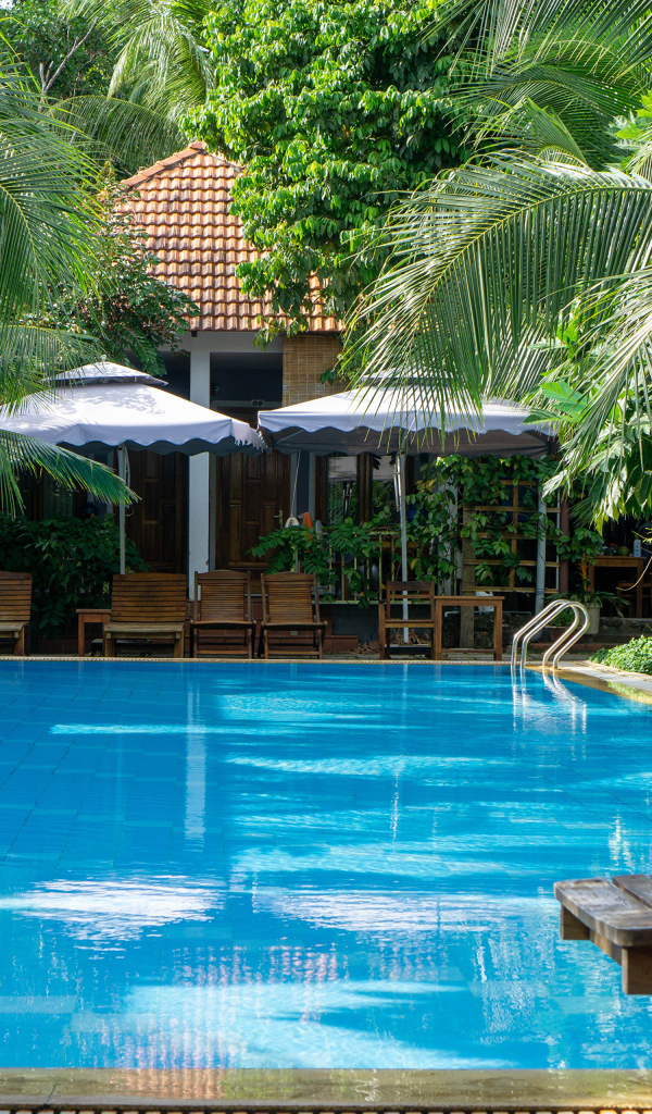 Бассейн с голубой водой у дома под пальмами