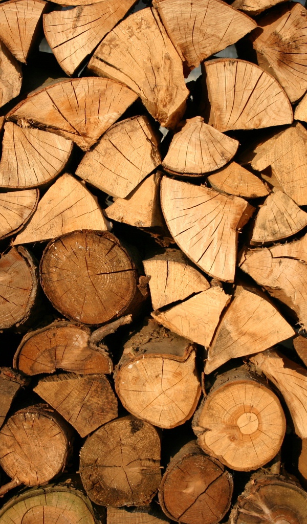 Стопка дров на улице
