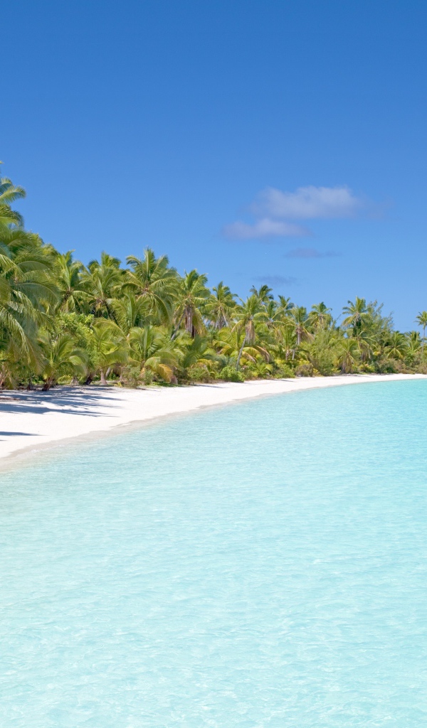 Чистый тропический пляж с голубой водой 