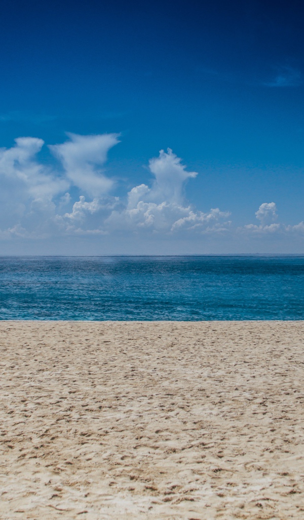 Следы на мокром песке у моря 