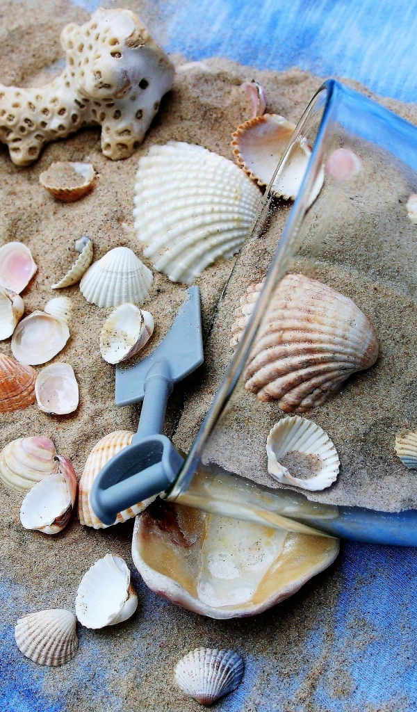 Морские ракушки и чашка с песком на пляже 