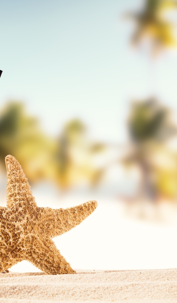 Морская звезда и бокал мохито на песке летом