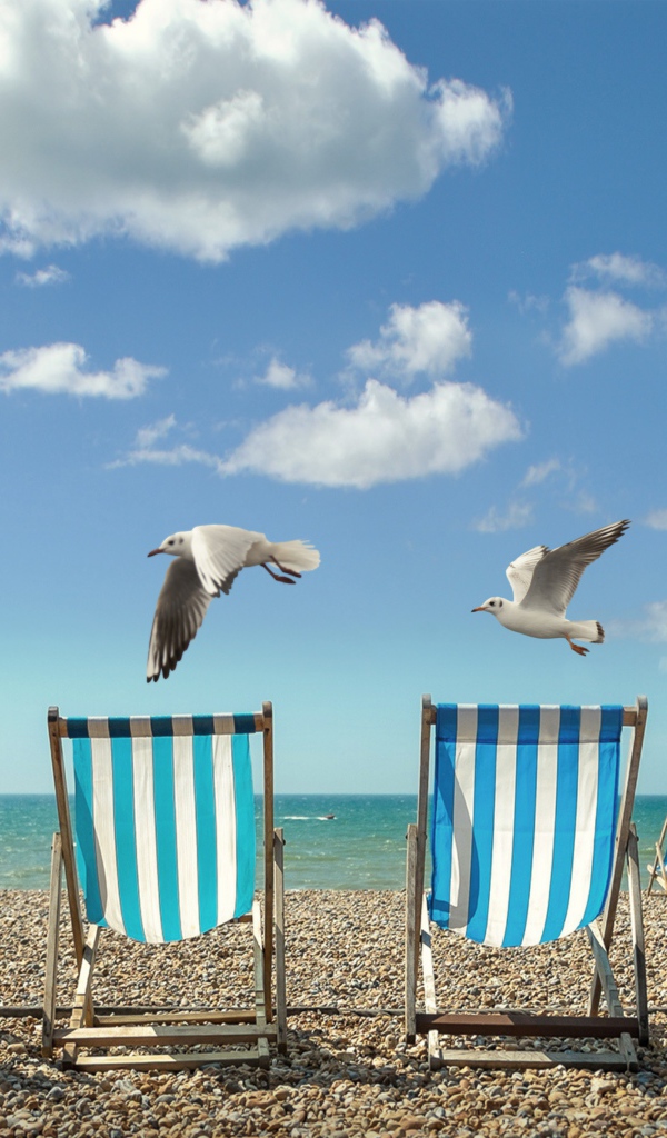 Шезлонги стоят на желтом песке у моря