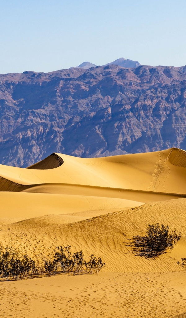 Красивые песчаные дюны у гор под голубым небом 