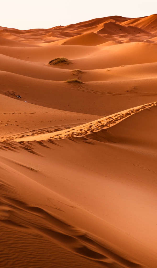 Песчаные дюны в пустыне Сахара 