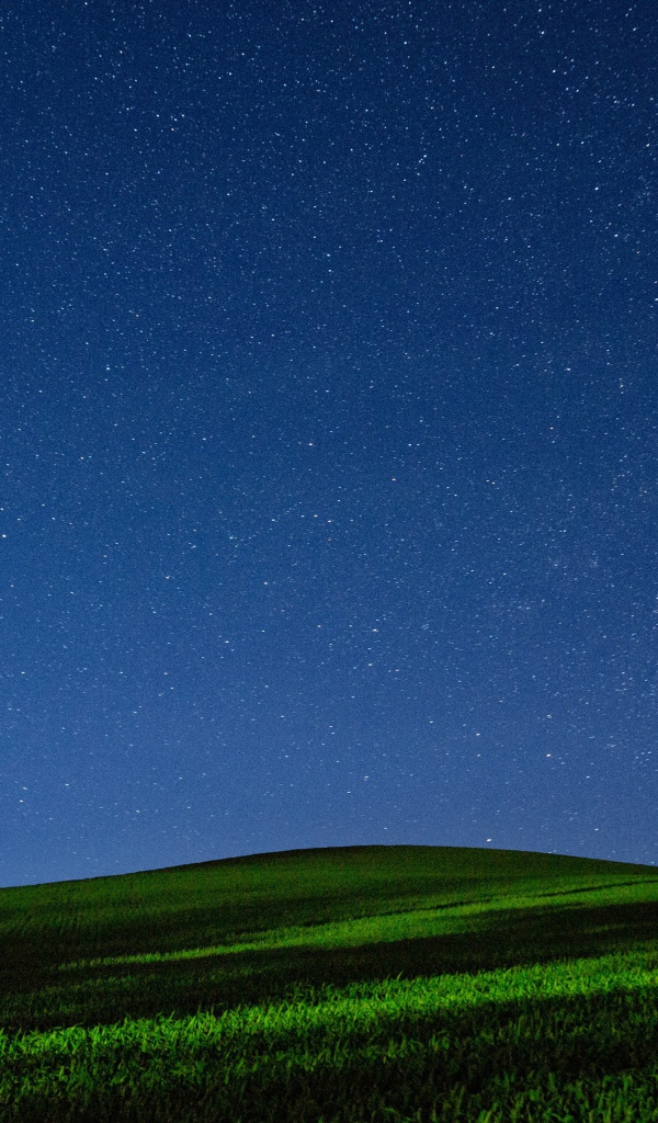 Красивое звездное ночное небо над зеленым полем