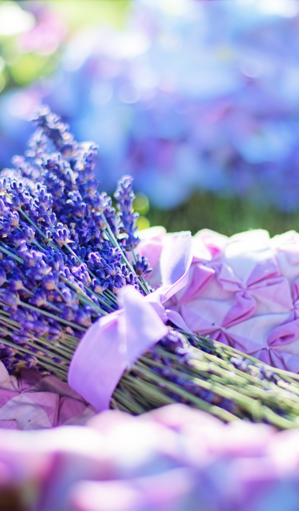 Букет ароматной лаванды в лучах солнца