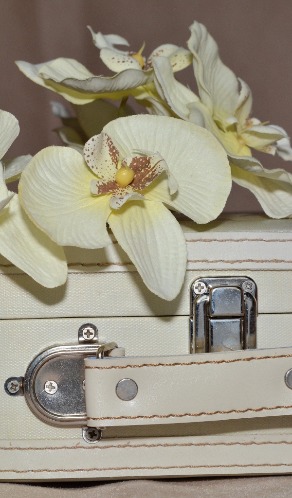 Ветка цветов орхидеи лежит на белом чемодане