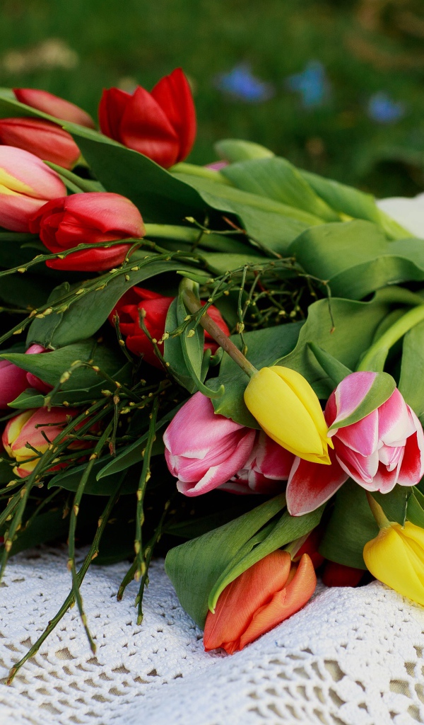 Красивый букет разноцветных тюльпанов на белой шали