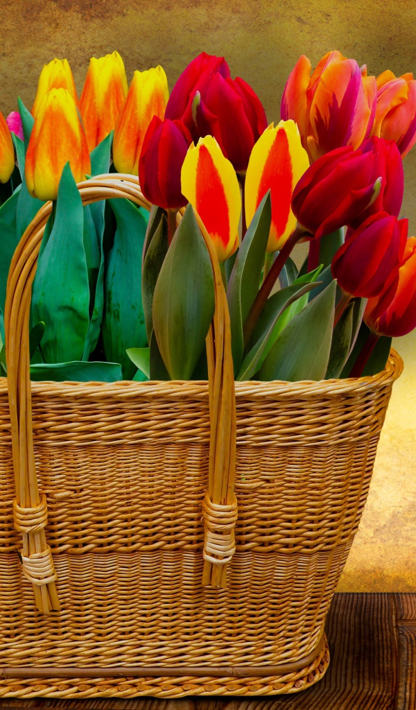 Красивый букет тюльпанов в корзине на фоне стены