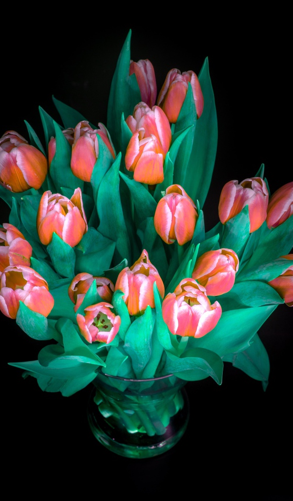 Красивый букет тюльпанов в вазе на черном фоне
