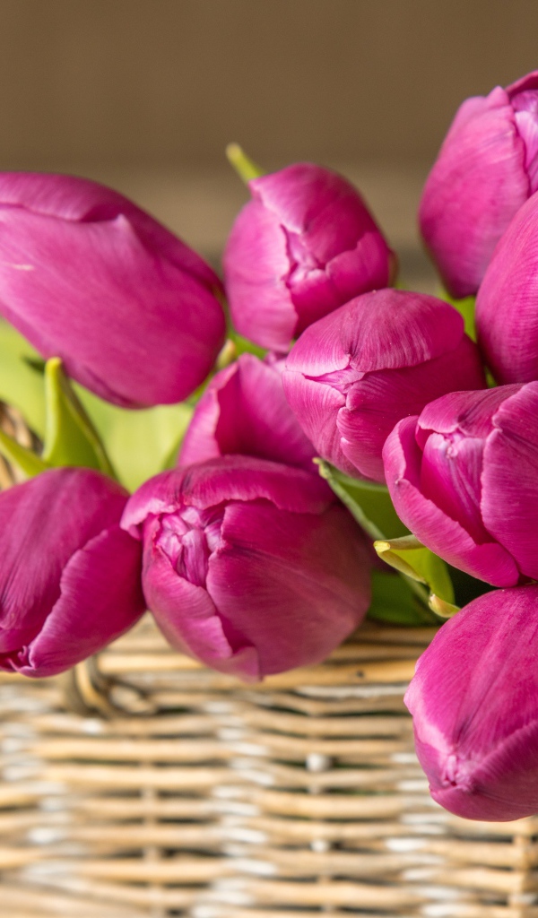 Букет красивых розовых тюльпанов в корзине на столе