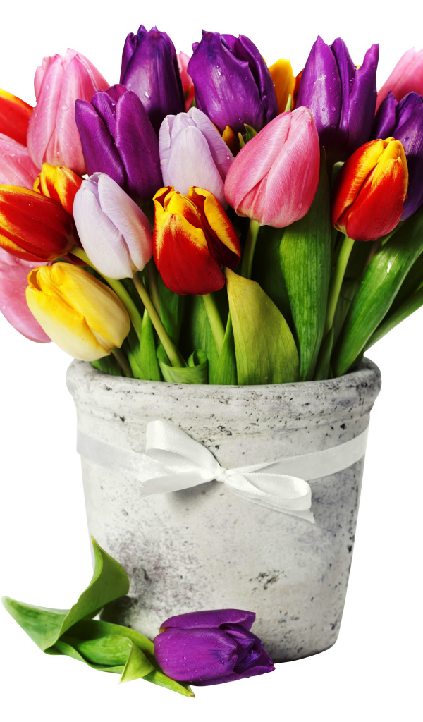 Букет разноцветных тюльпанов в вазе на белом фоне