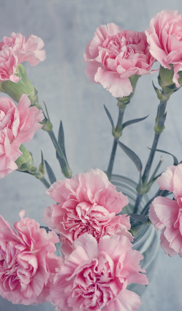 Букет розовых гвоздик в вазе на столе