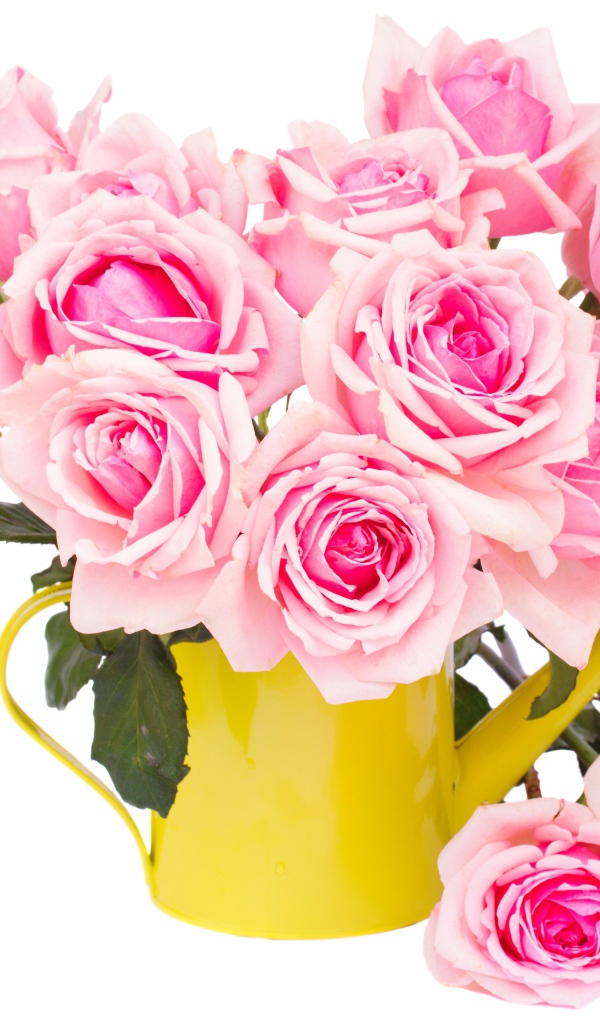 Букет розовых роз в желтой лейке на белом фоне
