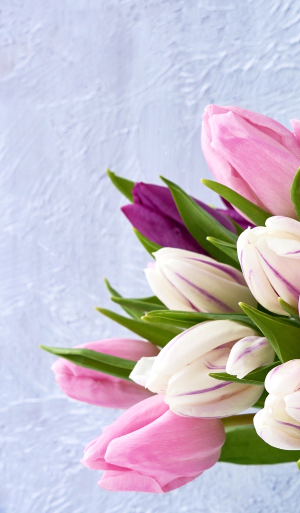 Букет розовых тюльпанов на фоне серой стены