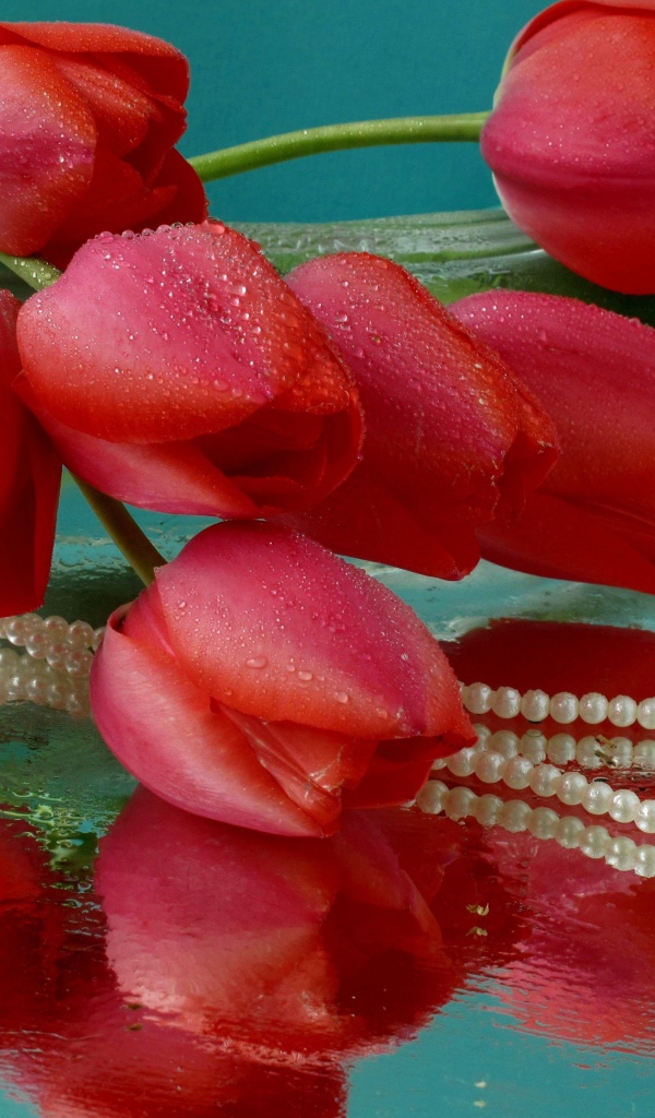 Букет красных тюльпанов и жемчужные бусы