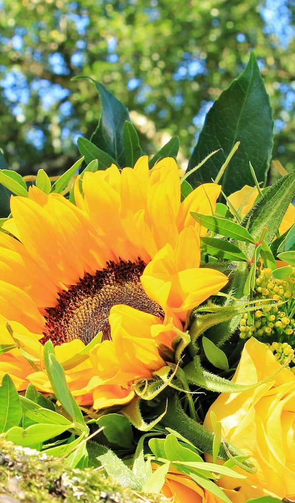 Букет цветов подсолнуха и желтой розы