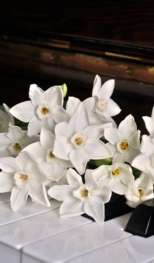 Букет белых нарциссов на клавишах рояля