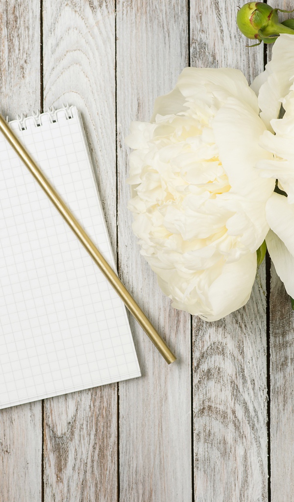 Букет белых пионов с блокнотом и ручкой на деревянном фоне 