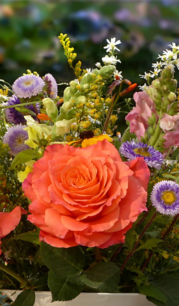 Букет полевых цветов с розами крупным планом