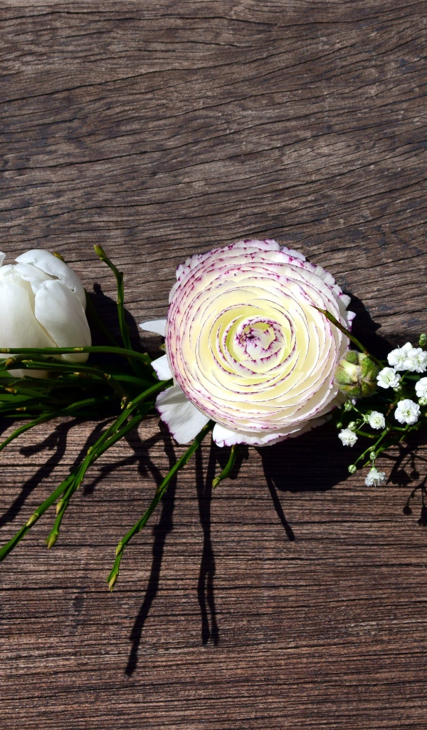 Цветы лютика, тюльпана и гипсофилы в ящике