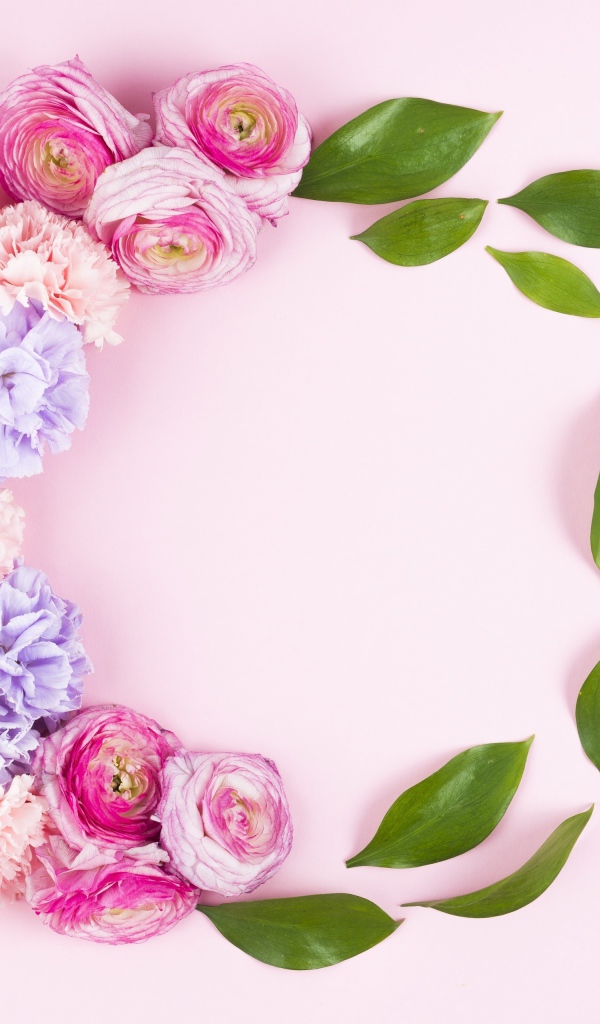 Гвоздики с лютиками и зелеными листьями на розовом фоне