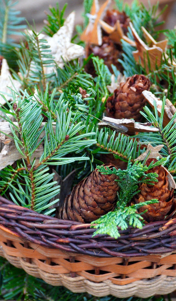 Шишки с ветками ели в корзине 