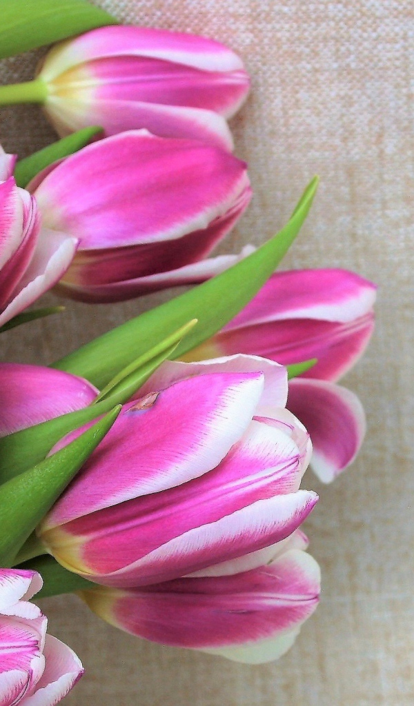 Кружевные пасхальные яйца с тюльпанами