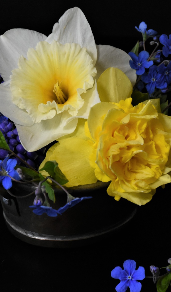 Цветы нарцисса с цветами незабудки в вазе на черном фоне