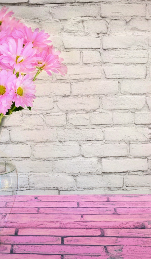 Розовые цветы хризантемы в стеклянной вазе на фоне стены